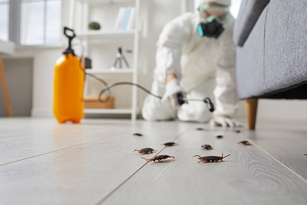 Commercial Kitchen Cockroach Control in Lake Mills